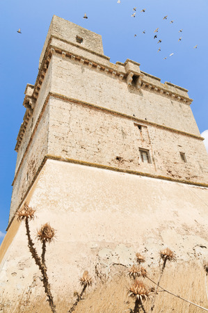 Typical defensive tower in Apuliaの写真素材