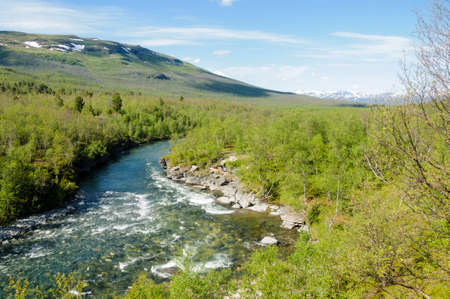 River flows through the wood in Abisko National Park, Swedish Lapland, Sweden, Europeの写真素材