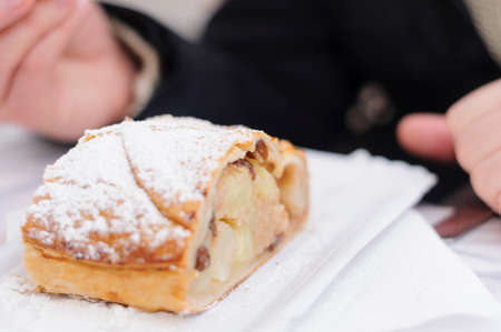 Slice of apple strudel with powdered sugar, typical from Austria and South Tyrolの写真素材