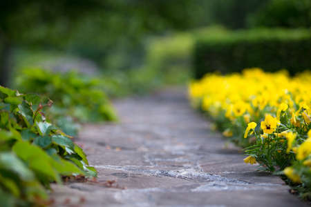 Road and green spacesの写真素材