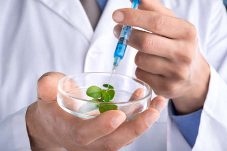 Scientist and green plant