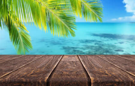 Wooden tablet on natural backgroundの写真素材