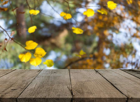 Wooden desk on natural backgroundの写真素材
