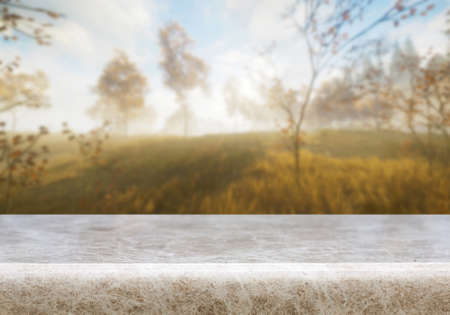 Wooden desk on natural background