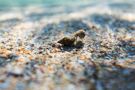 Sea reef and sea sand, beauty sea sandの写真素材