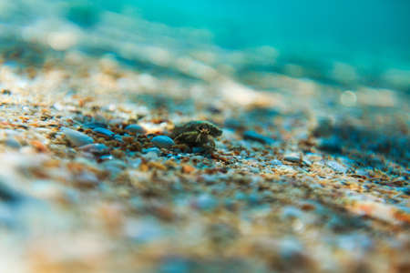 Sea reef and sea sand, beauty sea sandの写真素材