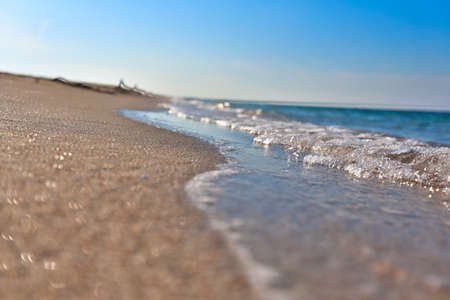 Sea beach and blue skyの写真素材
