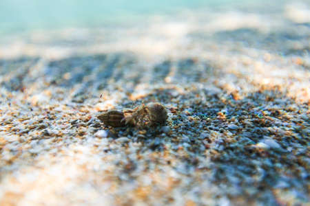 Sea reef and sea sand, beauty sea sandの写真素材