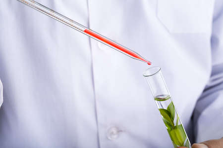 Doctor with medical tube on hospital backgroundの写真素材