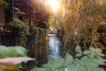 Sunset in the natural backgroundの写真素材