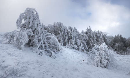 winter mountain landscapeの写真素材