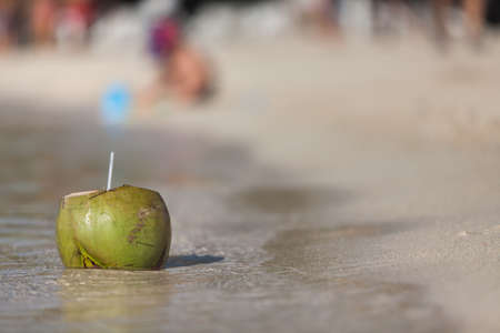 Beach nature fruit coconutの写真素材