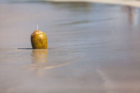 Beach nature fruit coconutの写真素材