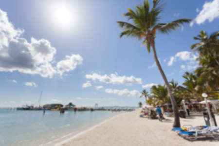 Beach tropical palm and seaの写真素材