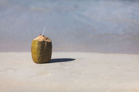 Beach nature fruit coconut