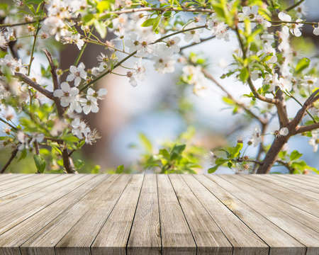 Wooden desk on blur or abstract natural backgroundの写真素材