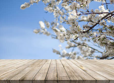 Wooden desk on blur or abstract natural backgroundの写真素材