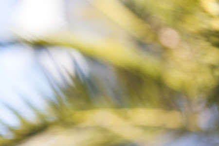 Abstract blur backgroundの写真素材