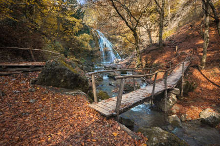 Beatyful natural lanscape background with tree and mountの写真素材