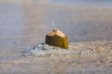 Fresh coconut on a sandy tropical beach with seaの写真素材
