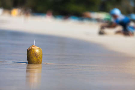 Fresh coconut on a sandy tropical beach with seaの写真素材