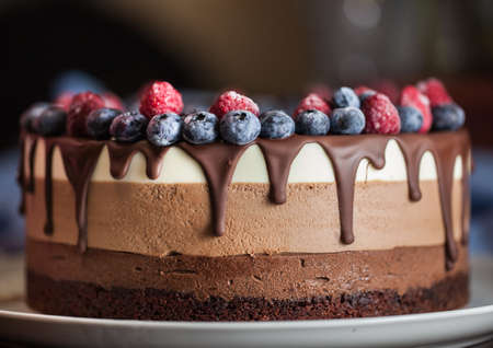 Fresh beautiful chocolate cake with fruit and berry on white plateの写真素材
