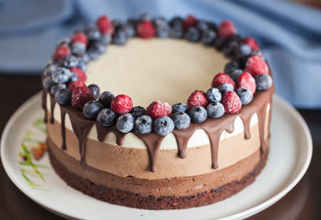 Fresh beautiful chocolate cake with fruit and berry on white plateの写真素材