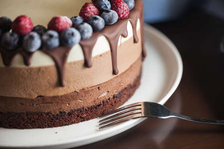 Fresh beautiful chocolate cake with fruit and berry on white plateの写真素材