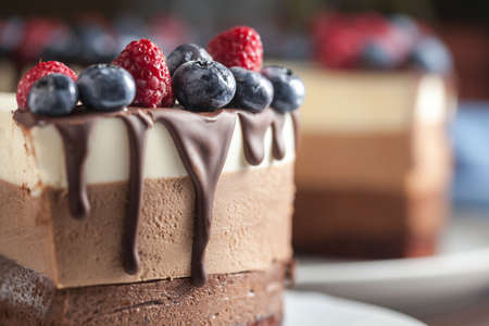 Fresh beautiful chocolate cake with fruit and berry on white plateの写真素材