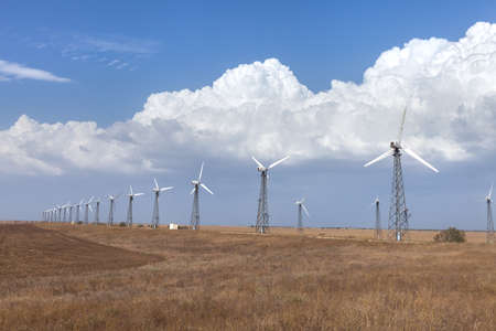 Electricity wind power generators in the field against the skyの写真素材