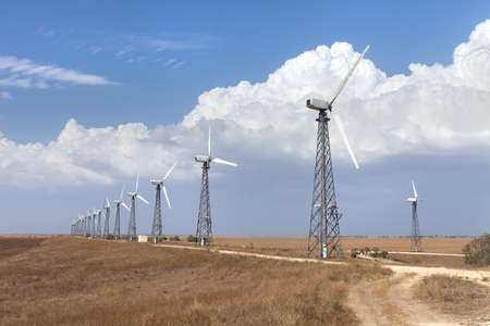 Electricity wind power generators in the field against the skyの写真素材