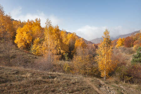Beautiful natural landscape background with tree and mount on backgroundの写真素材