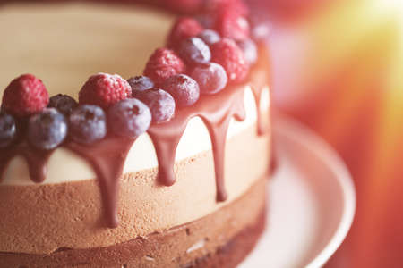 Beautiful fresh berry chocolate cake with abstract illustration on white plateの写真素材