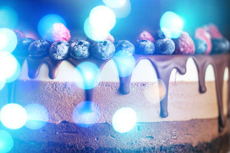 Beautiful fresh berry chocolate cake with abstract illustration on white plateの写真素材