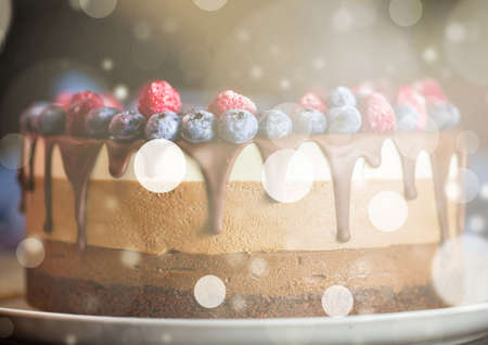 Beautiful fresh berry chocolate cake with abstract illustration on white plateの写真素材