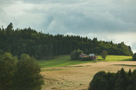 Natural park backgorund, fresh green spring bacground or summer backgroundの写真素材