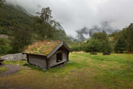Natural park backgorund, fresh green spring bacground or summer backgroundの写真素材