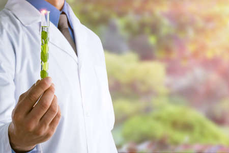 Young doctor with a stethoscope shows tube with blood or plantの写真素材