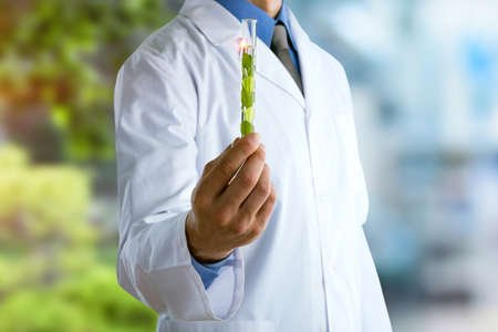 Young doctor with a stethoscope shows tube with blood or plant on pastel gradien backgroundの写真素材