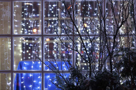 Christmas abstract light blur bokeh backgroundの写真素材