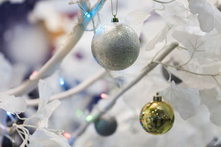 Christmas shiny balls hanging on a xmas backgroundの写真素材