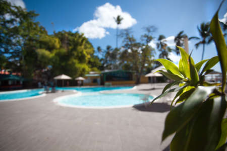 Natural park background, beach summer holiday vacationの写真素材