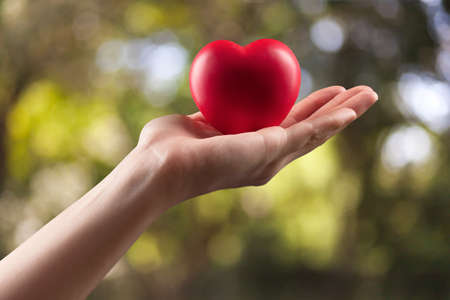 Woman hand holds red medical heart on bokeh backgroundの写真素材