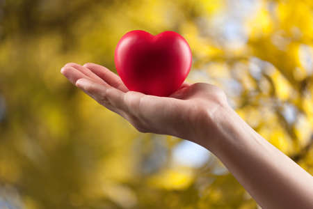 Woman hand holds red medical heart on bokeh backgroundの写真素材
