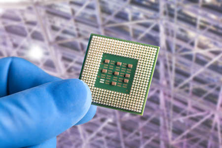 The hands in blue glove of the scientist hold the processor