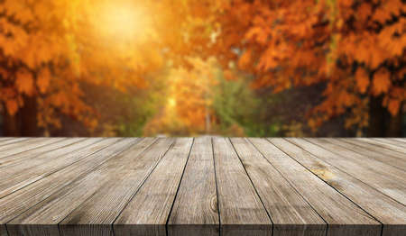 Wooden desk on autumn blur natural backgroundの写真素材