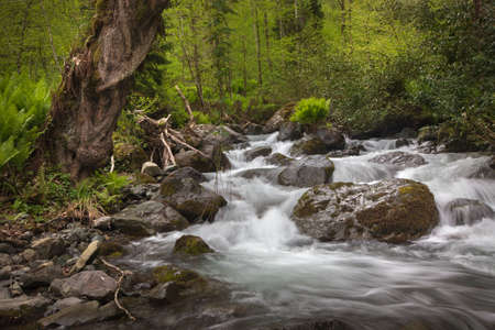 Natural park backgorund, with mount backgroundの写真素材