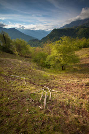 Natural park backgorund, with mount backgroundの写真素材