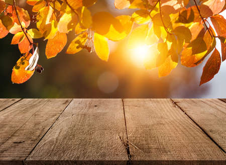 Wooden desk on autumn blur natural backgroundの写真素材