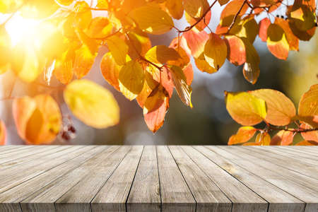 Wooden desk on autumn blur natural backgroundの写真素材